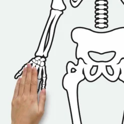 Skeleton Glow In The Dark Peel And Stick Giant Wall Decal White/Black - RoomMates 7 Skeleton Glow In The Dark Peel And Stick Giant Wall Decal White/Black - RoomMates -Roommates Décor Outlet Store GUEST 24866b24 0d0d 42cf 8ddc ebacee053eb2