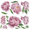 Large Peony Peel And Stick Giant Wall Decal - RoomMates
