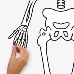 Skeleton Glow In The Dark Peel And Stick Giant Wall Decal White/Black - RoomMates 6 Skeleton Glow In The Dark Peel And Stick Giant Wall Decal White/Black - RoomMates -Roommates Décor Outlet Store GUEST 7d544213 da7e 41d0 a0ec e179f14a9f62