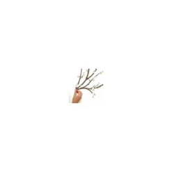 Blossom Branch Peel And Stick Giant Wall Decal With Flower Embellishments White - RoomMates -Roommates Décor Outlet Store GUEST e164961a 9b3a 4832 b1be ca4fe5839329